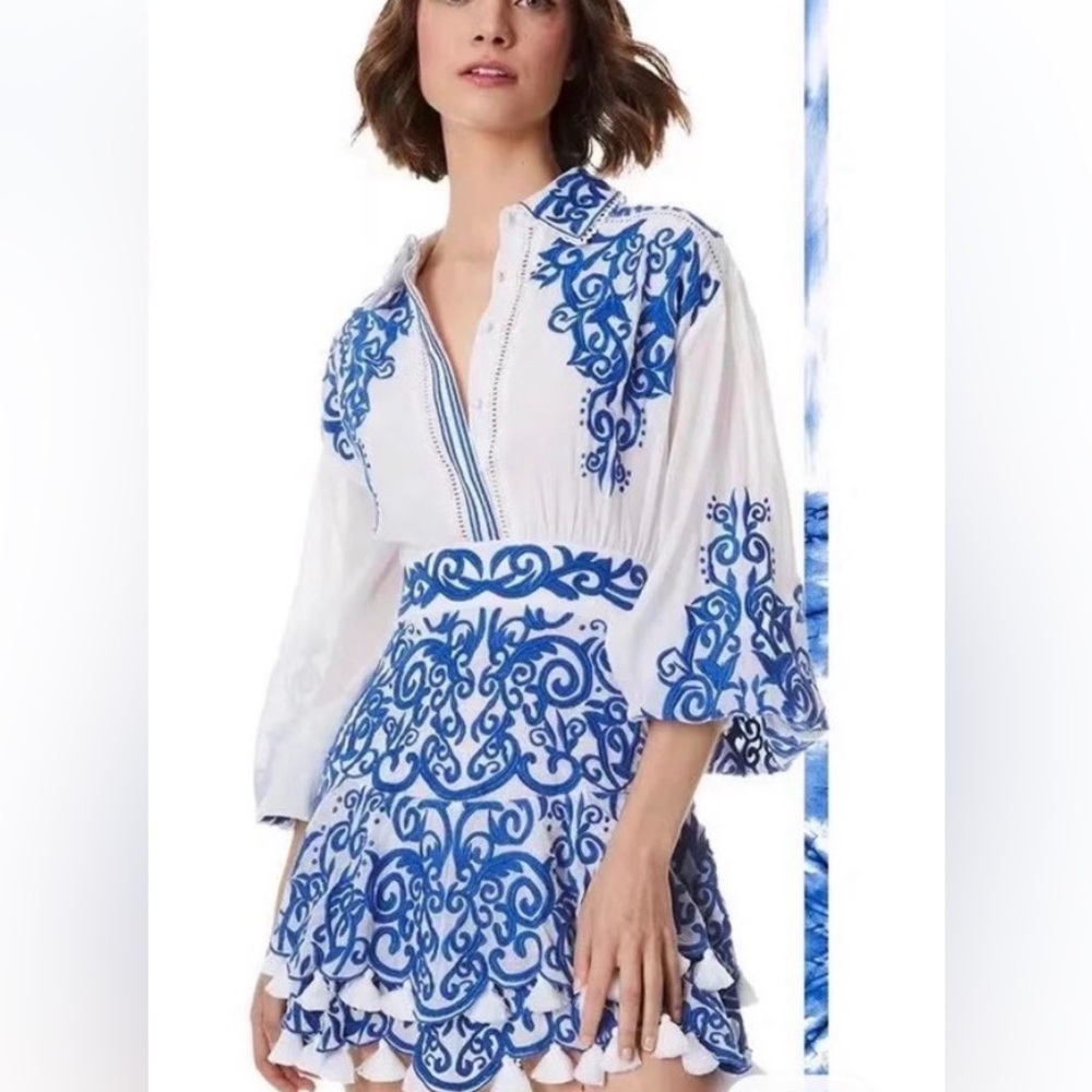 Alice+Olive Embroidered Blue and White Dress - Picture 15 of 16